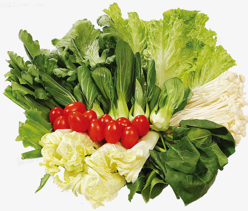 绿意健康生活 从免费蔬菜PNG素材探索植物魅力